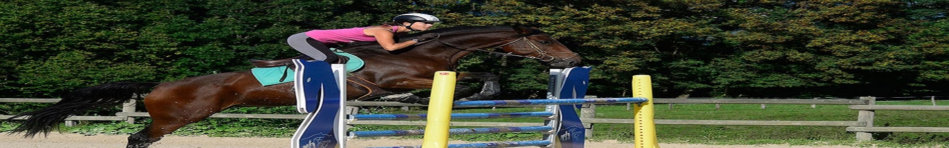 ExtraOffre Sport Banner Equitation Category